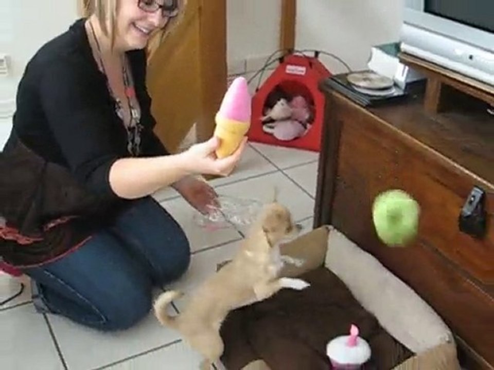 Annif Enza