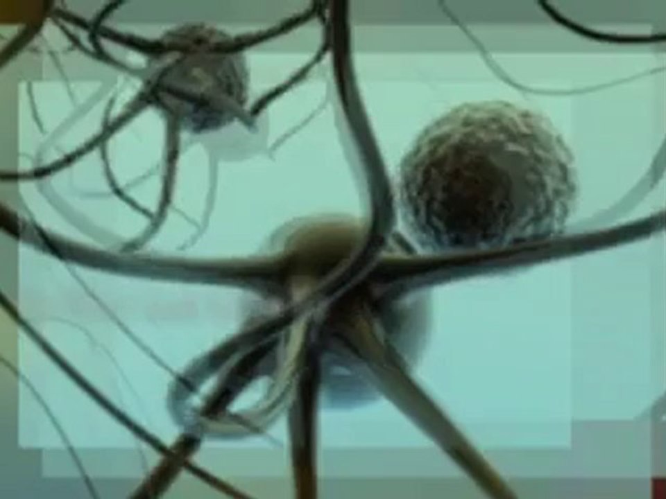 Food depression cure