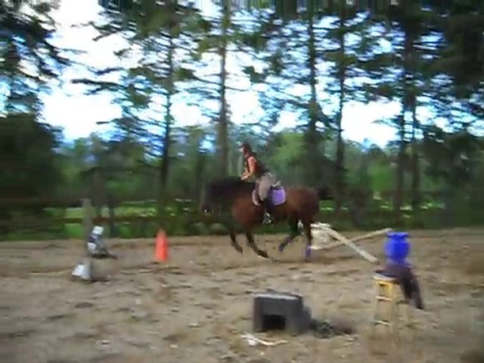 Paradox - gymnastique
