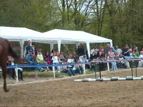 porte ouverte des ecuries des tileuls .