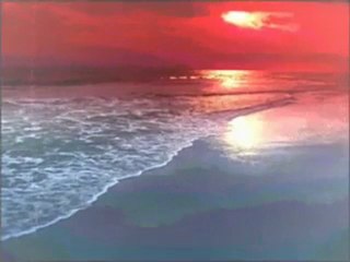 hasret gültekin sevgi kuşun kanadında