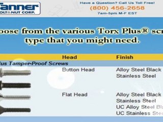 Affordable and Quality Tamper Proof Screws