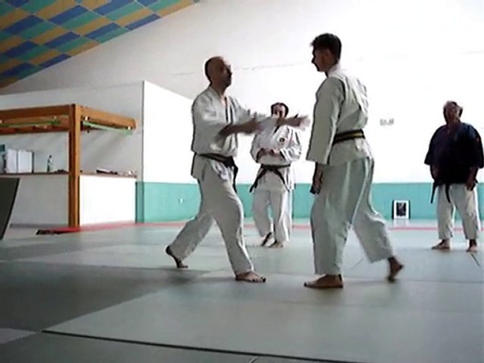 NTJ - Temple sur Lot - Juillet 2010 - Empi No Kata