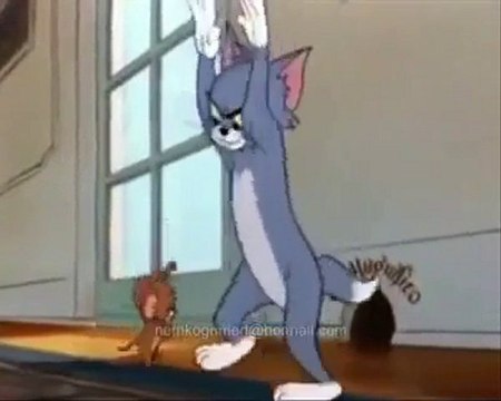Tom Ve Jerry Kafkas Dansı yapıyor xd