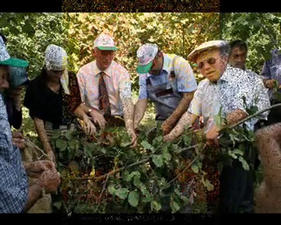 Artis Amca Her Yerde - Artiz Videoları İzle