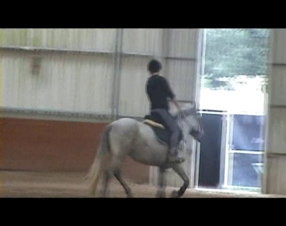 Rikita dressage 17 aout 2010