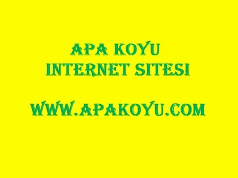 APA KÖYÜ İNTERNET SİTESİ