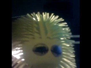 message urgent de DUDULE