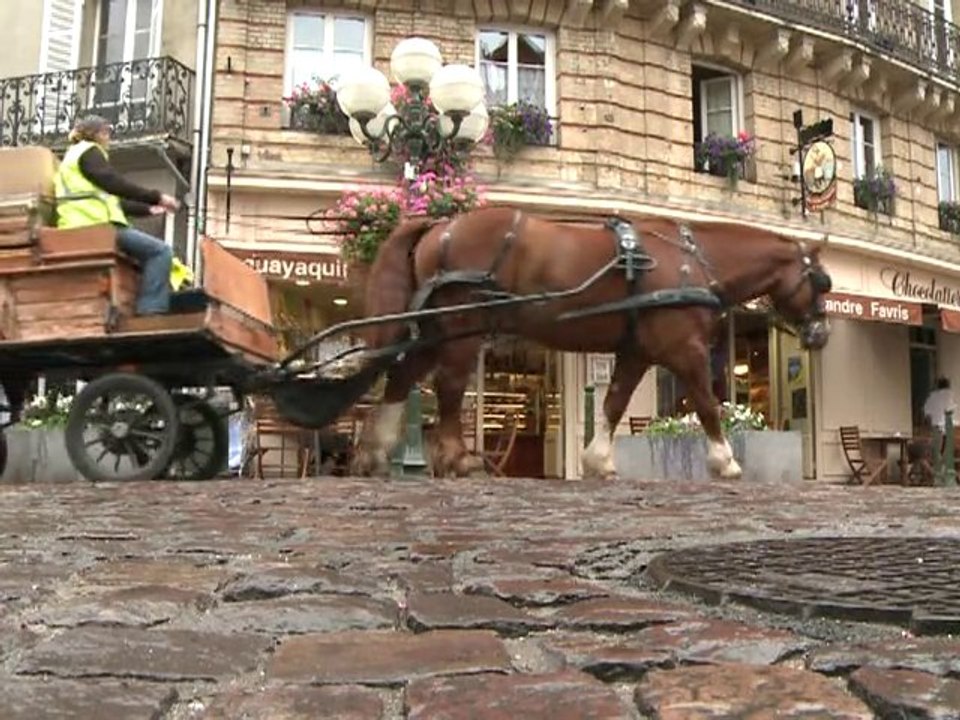 Le cheval au travail dans les villes