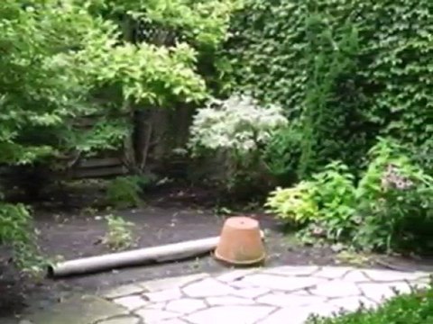 Homes for Sale - 1914 N Leavitt St - Chicago, IL 60647 - Col