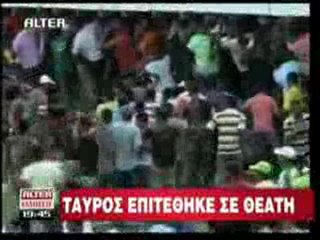 pagritianews.gr- Επίθεση ταύρου σε θεατή