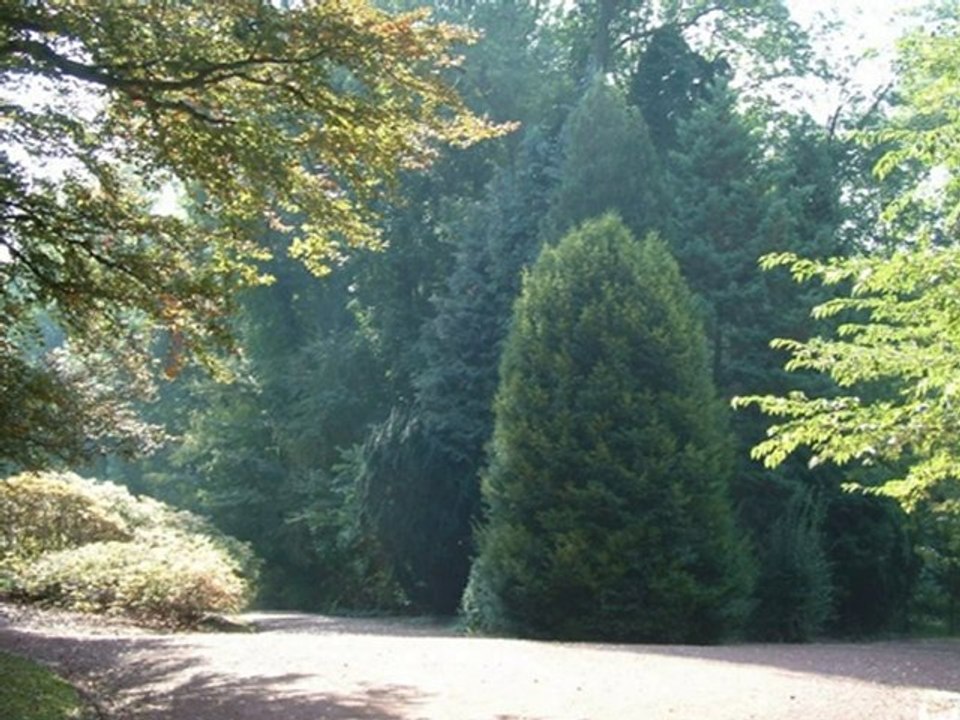 Le parc de Mariemont.