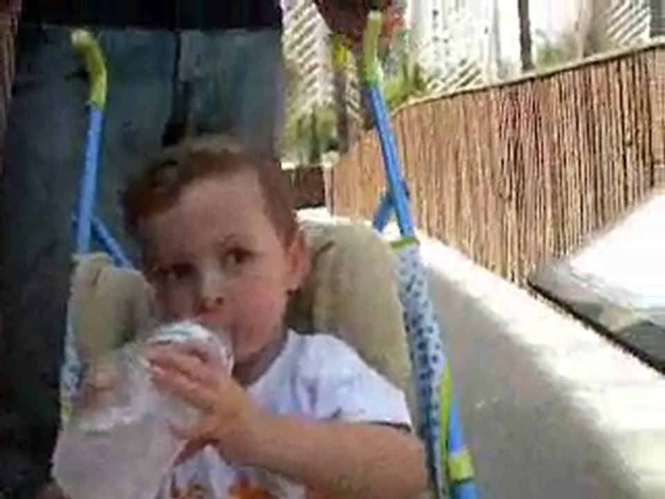 valencia expo dinosaures