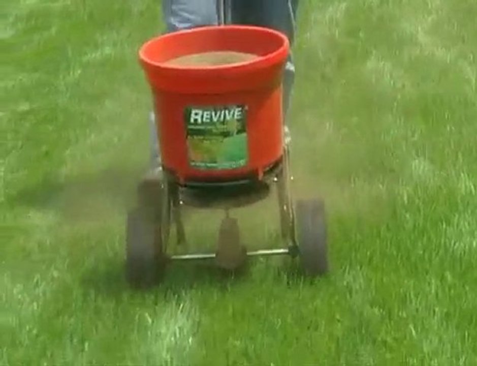 www.Watering-Your-Lawn.info| Soil compaction in turf | lawn