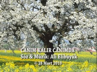CANIM KALIR CANIMDA...SÖZ & MÜZİK: ALİ ELİBÜYÜK
