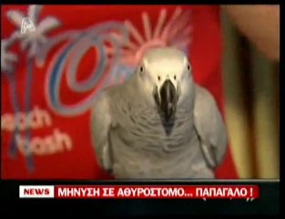 pagritianews.gr- Μήνυση σε αθυρόστομο παπαγάλο