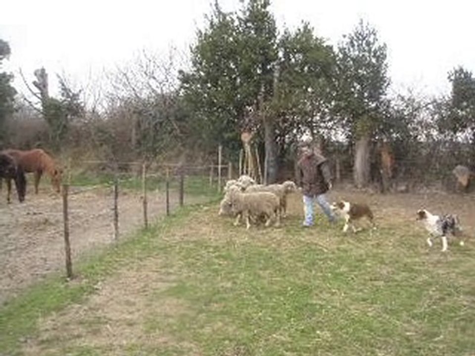 elix&eclyps3abaust 07.03.10