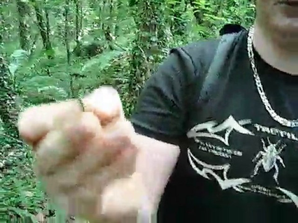 romain et a la recherche de sa dent en or