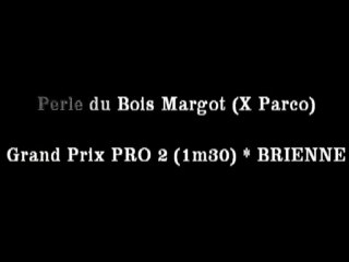 Perle du Bois Margot/JB Horiot - GP PRO2 Brienne le Chateau