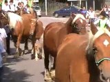 Vesoul : des chevaux de trait au centre-ville