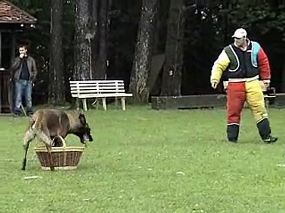 Alien concours l'isle sur le doubs 2010