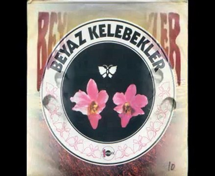 Beyaz Kelebekler - Sen Gidince