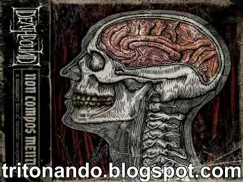 Deathbound/ Non Compos Mentis/ 2010