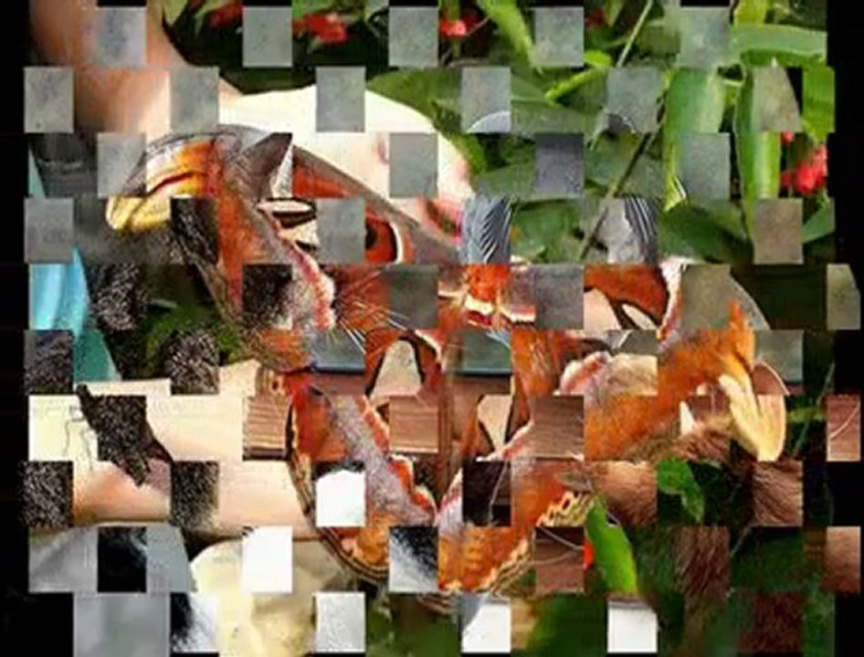 Şaşırtıcı, İlginç ve Bi Okadar Güzel Fotograflar