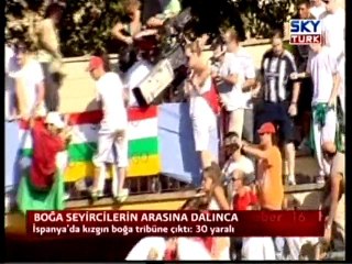 Boğa Seyircilerin Arasına Dalınca