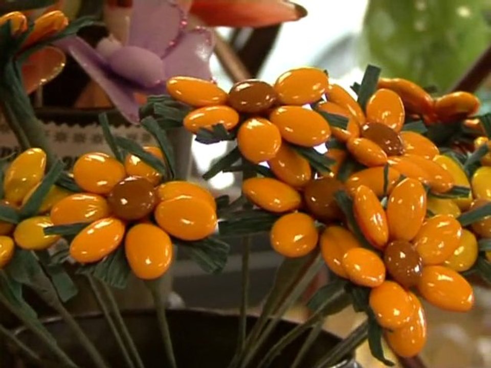 Chocodic