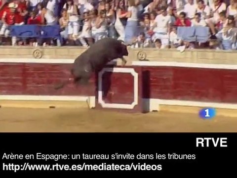 Zapping: l'expulsion des Roms, un taureau et des enfants