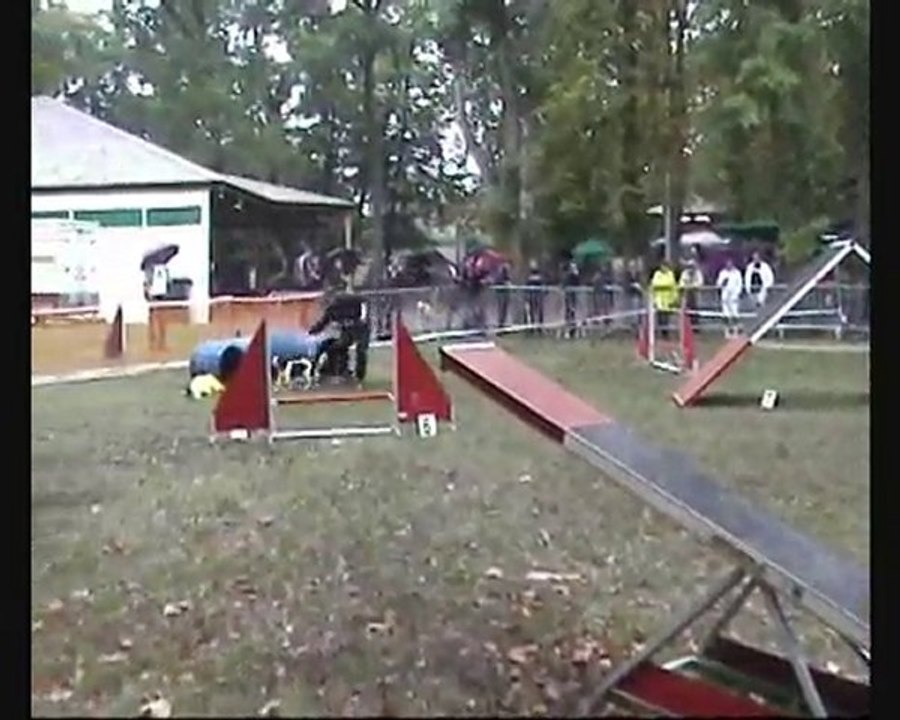 Arpège Distroff 2e degré