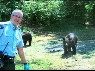 Cannabis growers 'used black bears as guards'