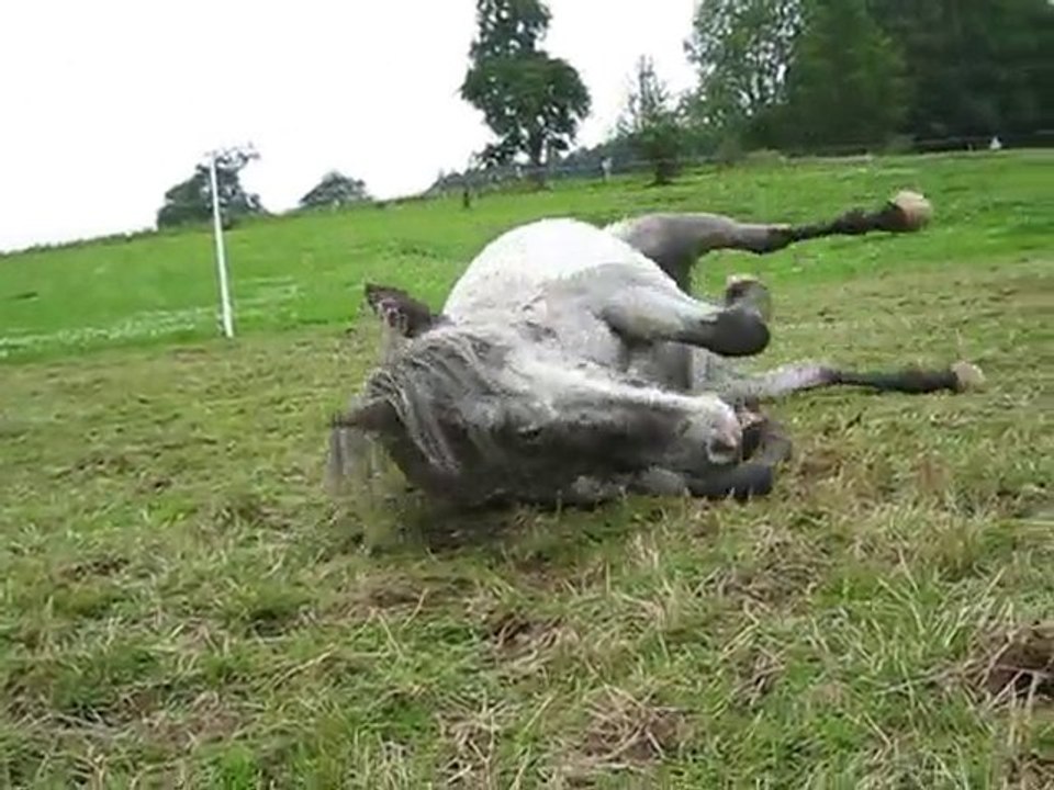 Suite, sieste au soleil