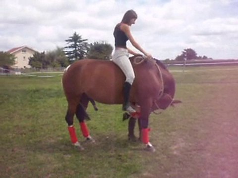 réverance montée de Pistache !