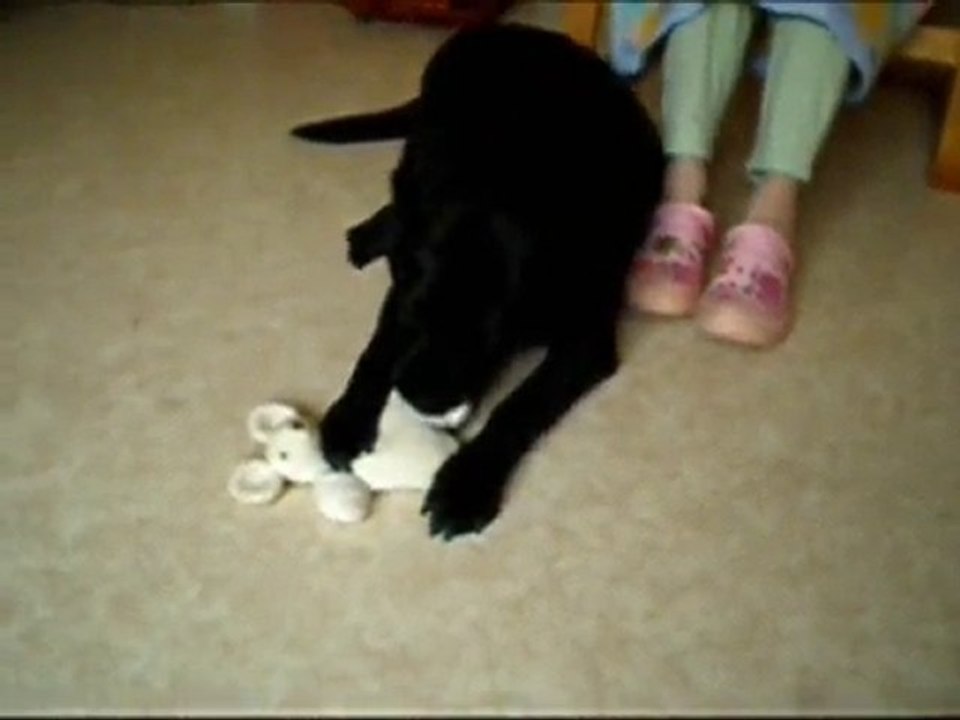 abby poppy aout 2010