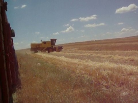 New Holland clayson 1545 ile harman...