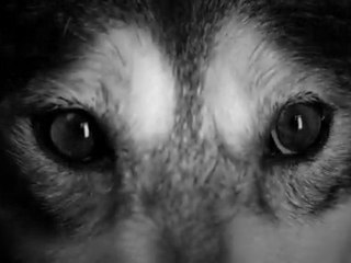 Taeyang -- I'll Be There