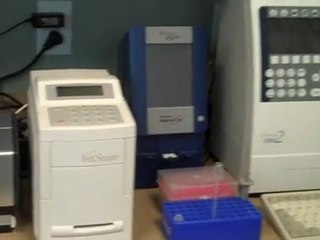 Mount Pleasant Animal Hospital