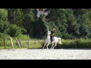 Retrouvaille Tenessee