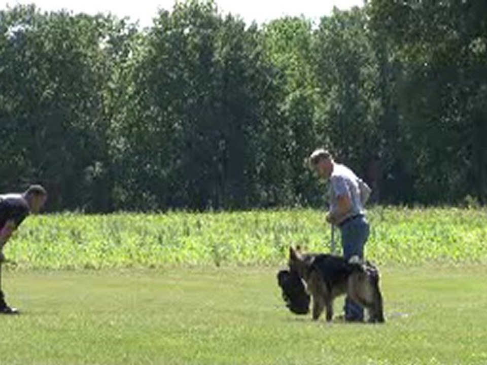 Kaza trying to learn a calm hold June  6
