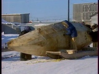 Mais Qui Etaient Les Premiers Americains - 3/3