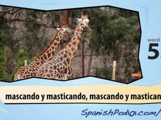 Learn Spanish with Video – Safari Animals