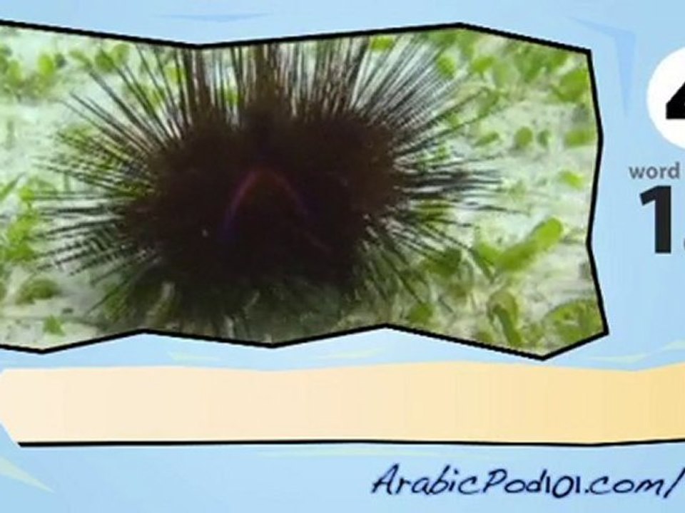 Learn Arabic with Video – Marine Life II