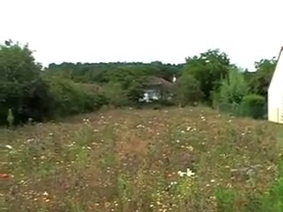 bloemenweide (frankrijk)
