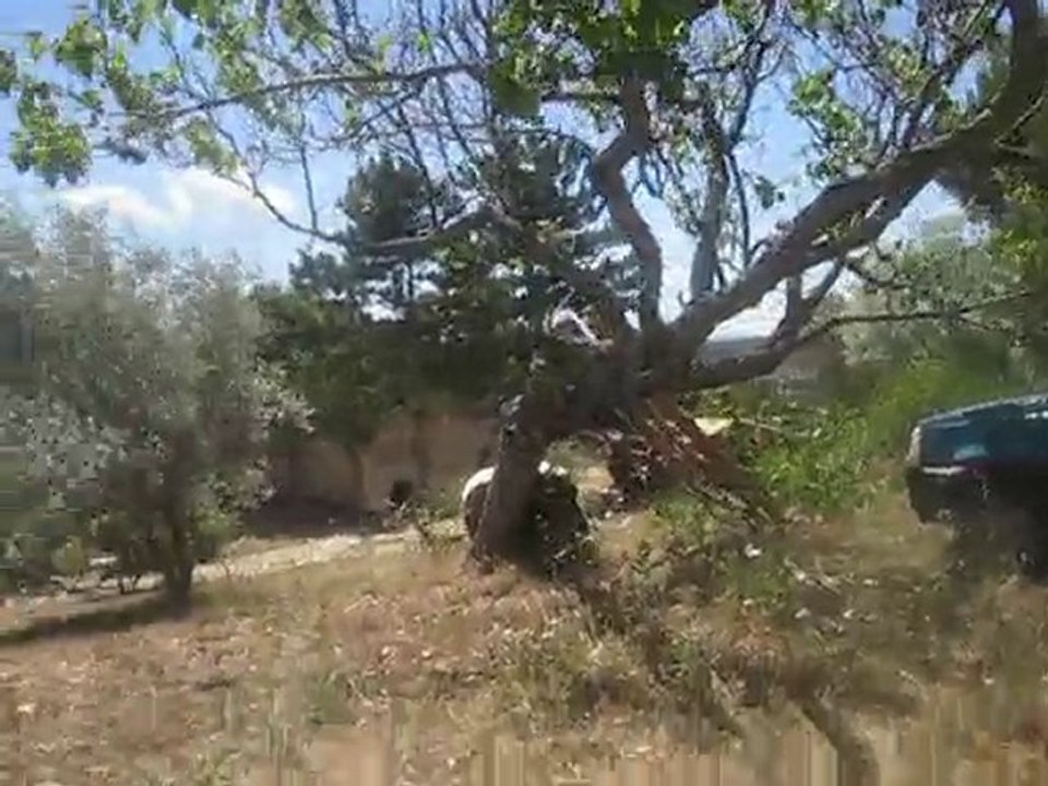 voicidevantchezvalerie