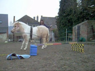 travail licol mars 2010