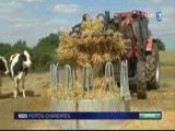 France 3 Poitou-Charentes : sêcheresse et prix du lait