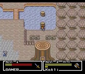 final fantasy mystic quest chenaie et foresta