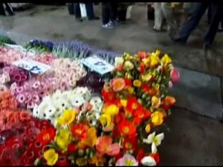 Australian election on a knife-edge